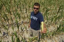 Crop technology helps limit corn Crop technology helps limit corn