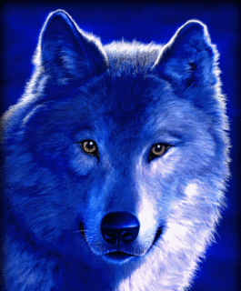 Blue The Wolf