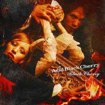  Acid Black Cherry -  Black Cherry 