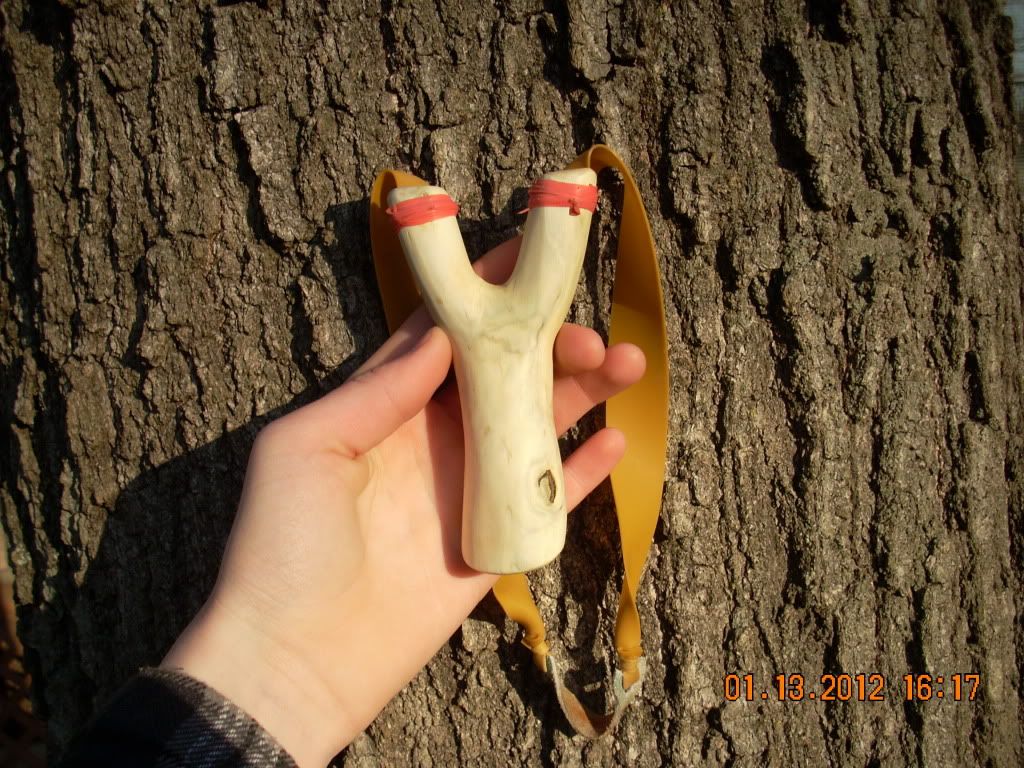 My Lastest Slingshots! Slingshots Forum
