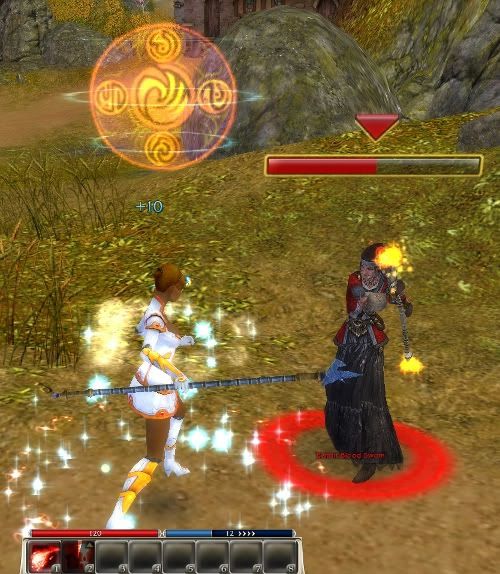 Guild Wars 2