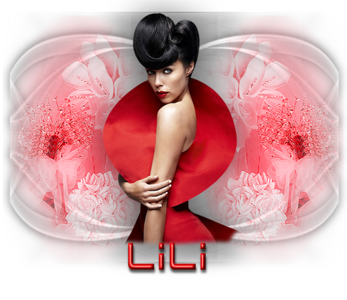  photo 2013-11lili.png