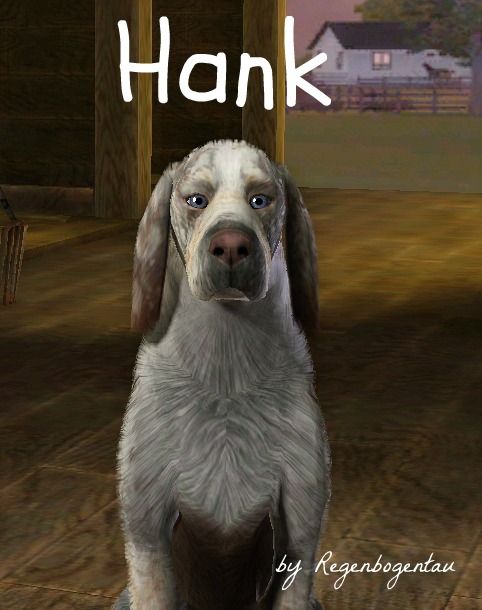 Hank1.jpg