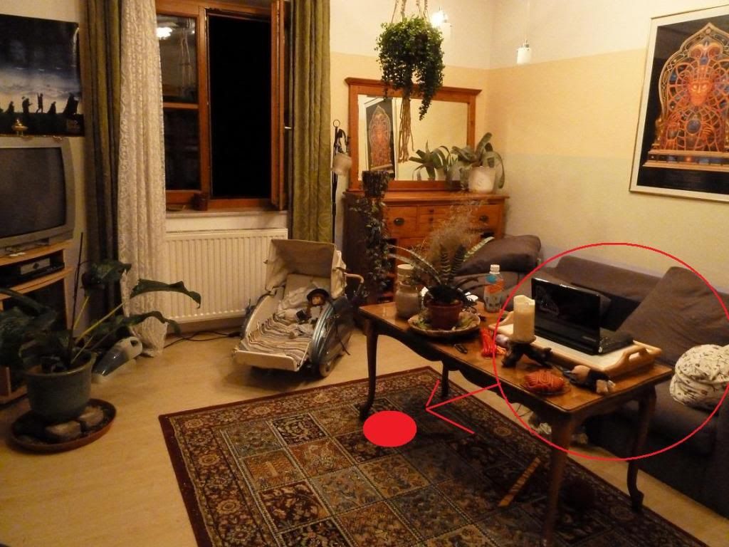 ratten im wohnzimmer