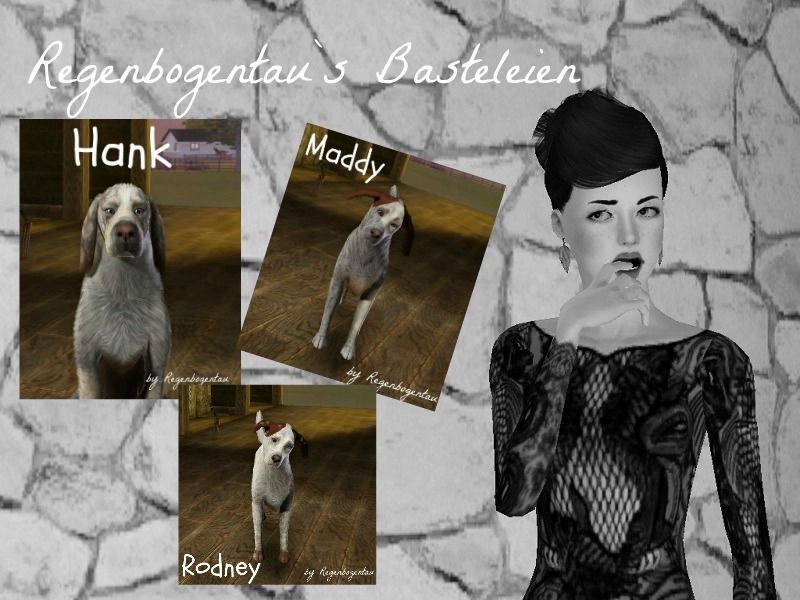rodneymaddyhankbasic.jpg
