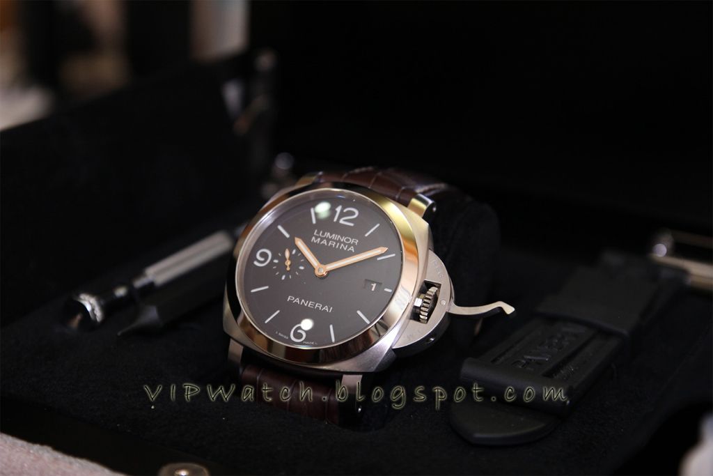 PAM351-1.jpg