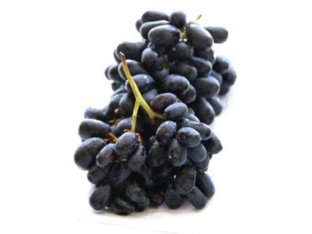 Trái cây tươi - trái cây nhập khẩu giảm giá 15% - 27% tại www.tpn.vn - 4