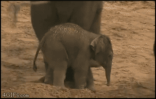 sDZCnjz_zps76a45c79.gif