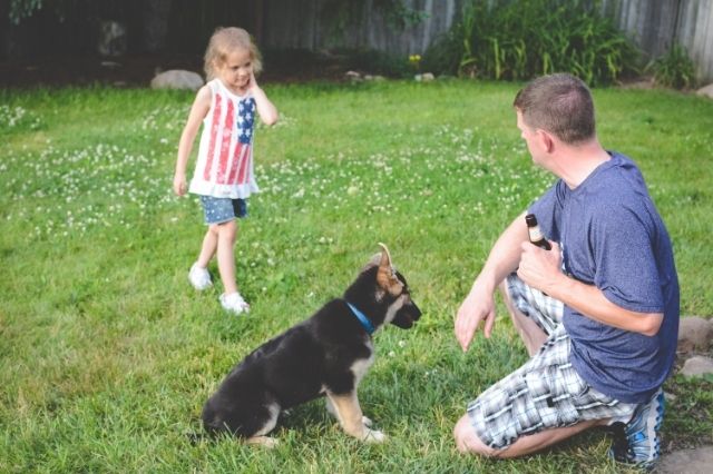  photo 90941c8c-31ab-46b8-a634-17459601b434_zpsorybxcup.jpg