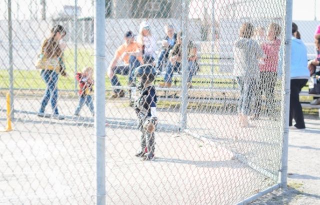  photo b3dac7cc-444d-4128-9997-762731ba44e5_zpsgejrlest.jpg