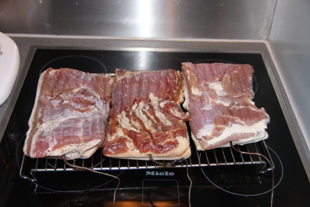 Bacon3012.jpg