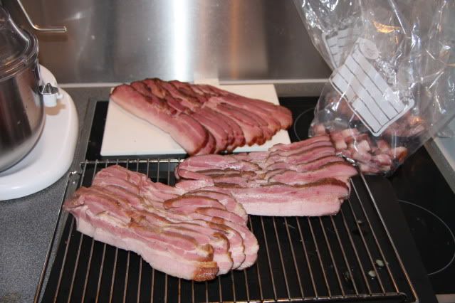 Bacon3015.jpg