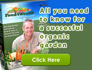 organic-garden-succesful