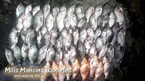 Sungguh ini merupakan pengalaman pribadi saya yang sangat berkesan