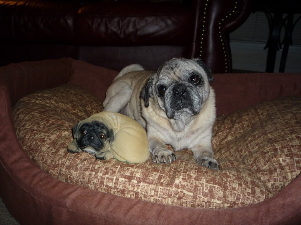 Tipton and the imposter